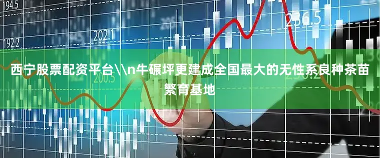 西宁股票配资平台\n牛碾坪更建成全国最大的无性系良种茶苗繁育基地